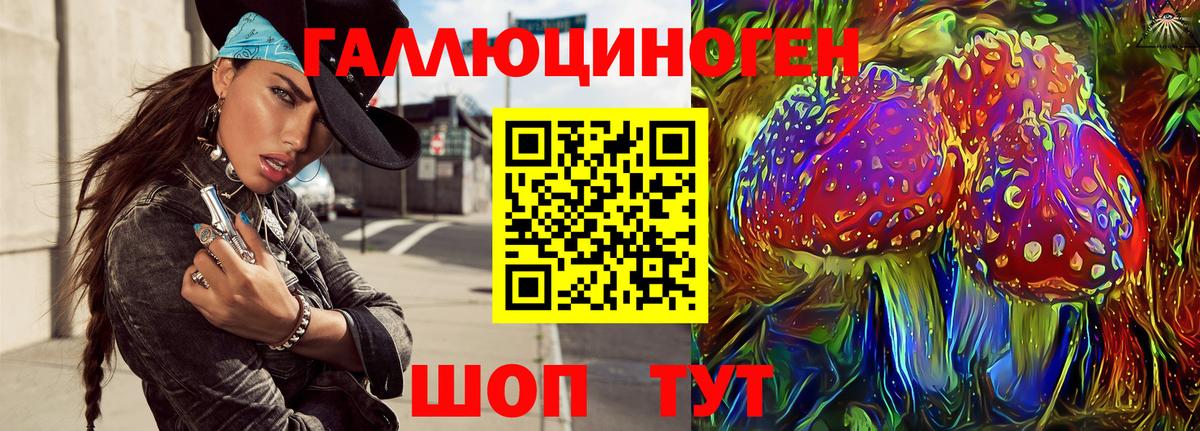 Псилоцибиновые грибы Cubensis  Вход с VPN  как найти   Лиски 